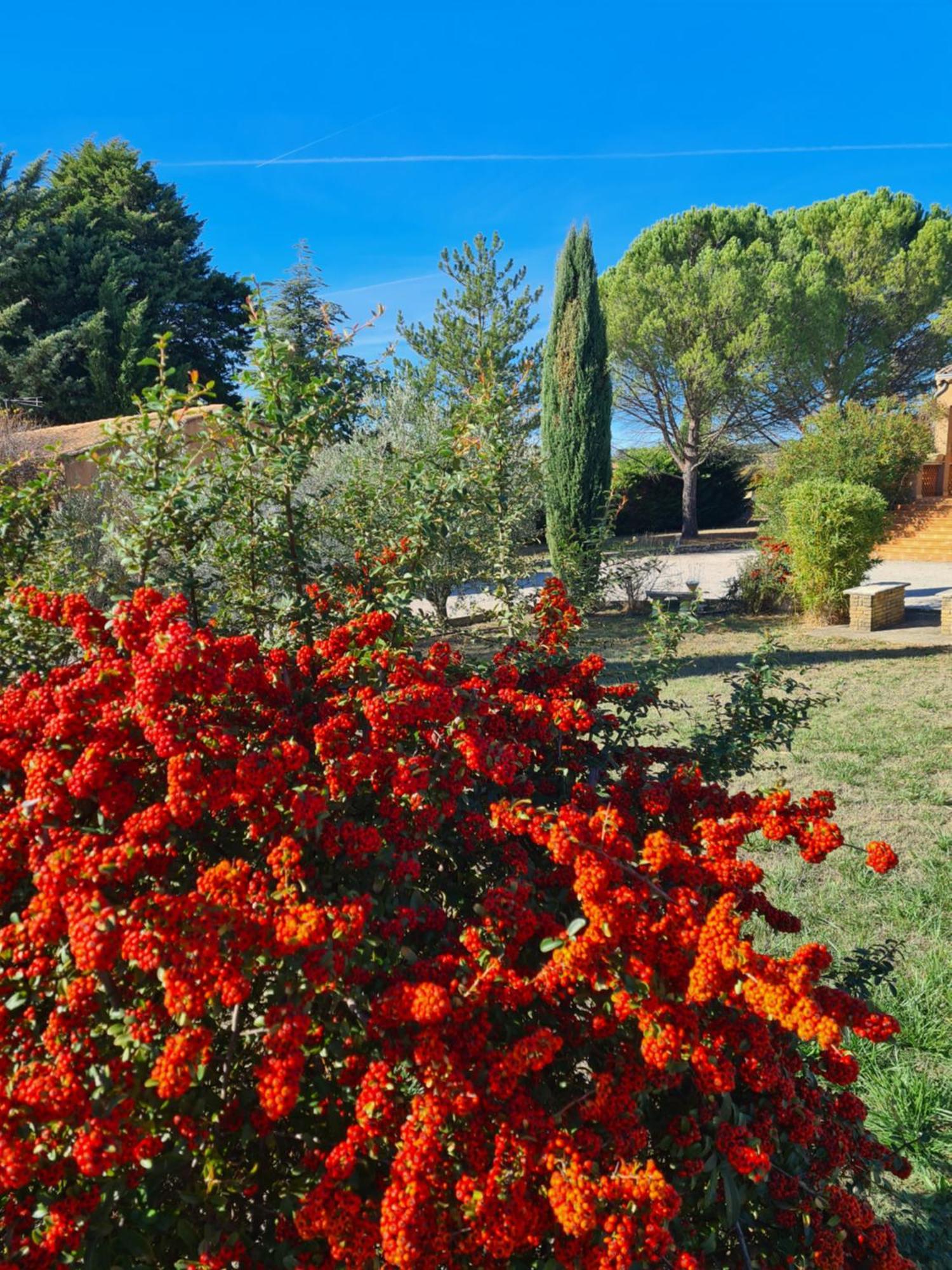 Family First Villa Gargas  Dış mekan fotoğraf