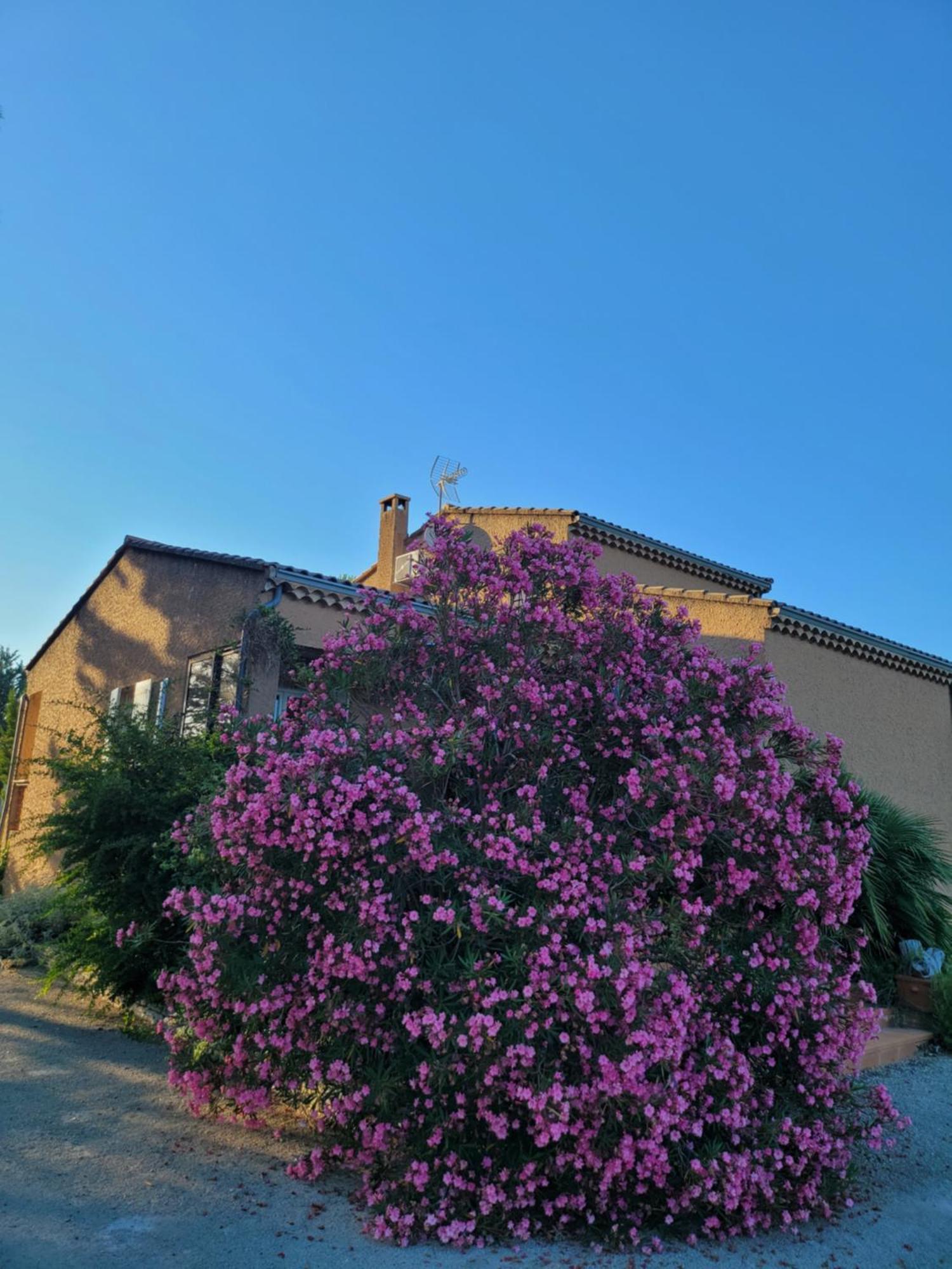 Family First Villa Gargas  Dış mekan fotoğraf